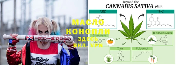 молекула духа Алексин