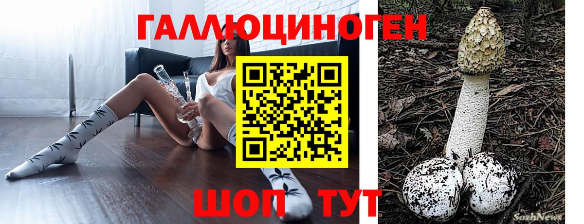 Псилоцибиновые грибы MAGIC MUSHROOMS  Вход с VPN  Галлюциногенные грибы ЛСД  Балашов 